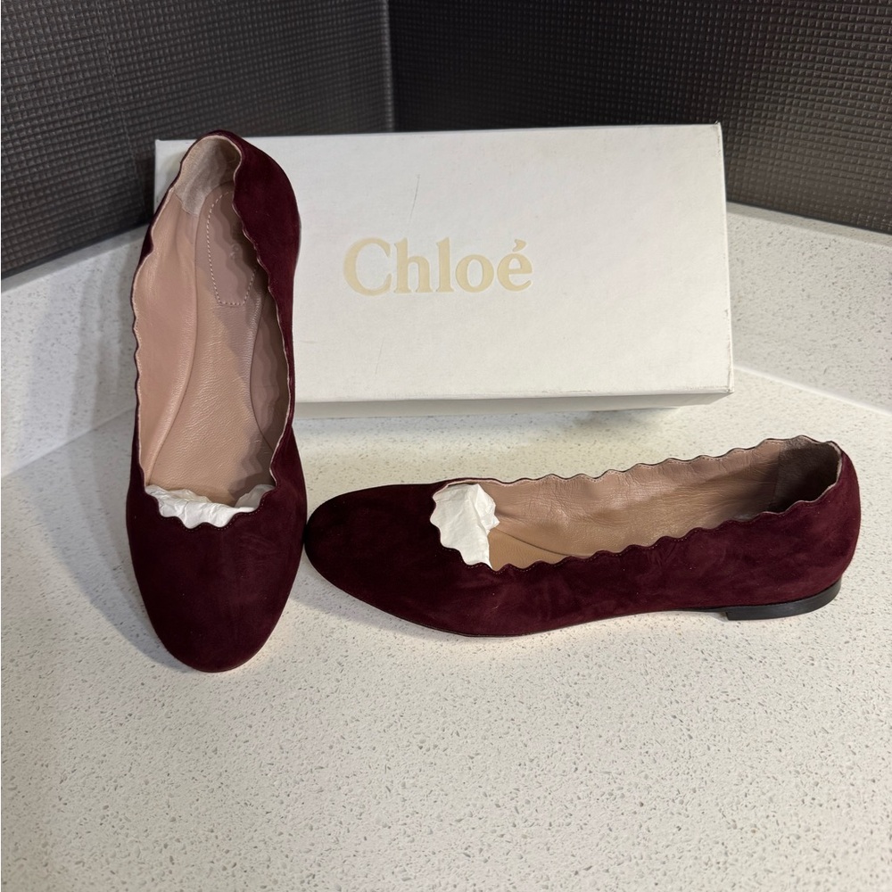 $550 Chloé Suede Scalloped Accent Ballet Flats Dark Red 38.5 NIB - Picture 2 of 8